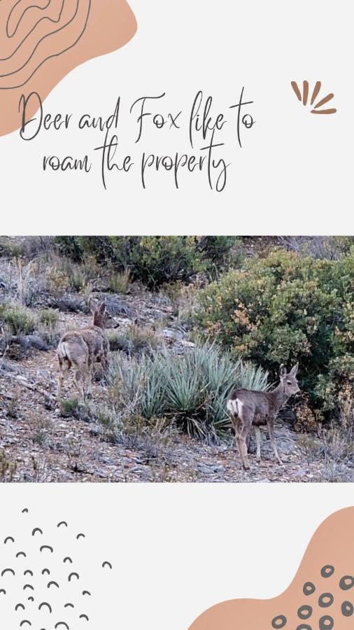 Sage Desert Dreams Mount Charleston Exterior foto